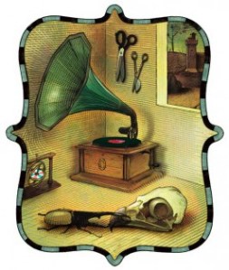 Still Life With Gramophone and Hercules Beetle